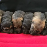 processed/197544e9-152b-4510-a6e4-a67195a374b7/facility/1e56a309-796c-449d-af4c-2e2416b65f5a