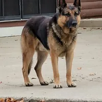 processed/197544e9-152b-4510-a6e4-a67195a374b7/facility/9b4ee778-de1f-4243-9140-4ceb5aea2c52