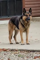 processed/197544e9-152b-4510-a6e4-a67195a374b7/facility/9b4ee778-de1f-4243-9140-4ceb5aea2c52