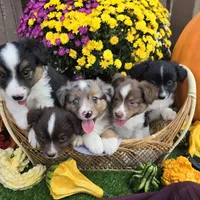 processed/197544e9-152b-4510-a6e4-a67195a374b7/facility/c42c8732-6ded-4383-9841-b5f8cbeb58d2