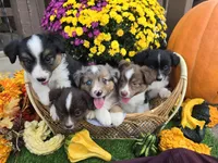 processed/197544e9-152b-4510-a6e4-a67195a374b7/facility/c42c8732-6ded-4383-9841-b5f8cbeb58d2