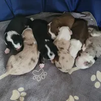 processed/197544e9-152b-4510-a6e4-a67195a374b7/facility/e8c084e4-1269-4a0c-923e-08cb1e39c491