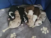 processed/197544e9-152b-4510-a6e4-a67195a374b7/facility/e8c084e4-1269-4a0c-923e-08cb1e39c491