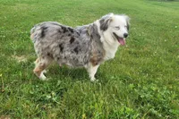 processed/197544e9-152b-4510-a6e4-a67195a374b7/listing/eb6f8422-60ca-44d1-ab0c-f89abde1a71e/ef338b99-3b0e-49f4-9915-cd912b9fbf64