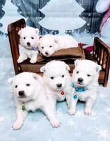 processed/197579e4-eddc-45ce-ad4c-9872dcb99648/facility/19388072-74c9-4a67-b87e-751e17df2352