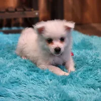 processed/197579e4-eddc-45ce-ad4c-9872dcb99648/facility/8e090e28-c614-4163-ae5f-d713be96a17b