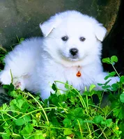 processed/197579e4-eddc-45ce-ad4c-9872dcb99648/facility/99f312d5-9e10-46fd-92d7-3d9f724a039f