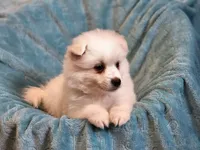 processed/197579e4-eddc-45ce-ad4c-9872dcb99648/facility/a0f84d6a-c227-479d-bcb1-2c1131012648