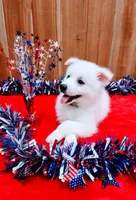 processed/197579e4-eddc-45ce-ad4c-9872dcb99648/facility/bc43bf37-0f83-42ed-b143-01ede146bcde