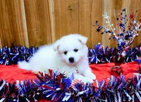 processed/197579e4-eddc-45ce-ad4c-9872dcb99648/facility/ef3496b9-fe70-4f98-8c9f-f302093532f3