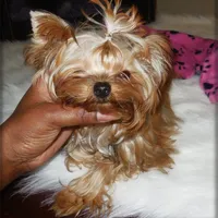 processed/1975a388-cdbc-4b56-9f46-9d9eeec5d2b1/facility/33290b79-4886-49ba-8e3d-65304bf1d664