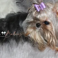 processed/1975a388-cdbc-4b56-9f46-9d9eeec5d2b1/facility/a59a77bb-7ffb-40b7-87f8-330c7068602a