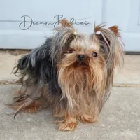 processed/1975a388-cdbc-4b56-9f46-9d9eeec5d2b1/facility/b3cadc43-486e-4dbe-ad69-e61104d67549