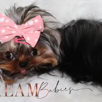 processed/1975a388-cdbc-4b56-9f46-9d9eeec5d2b1/facility/df154308-157a-48e5-8a78-85381f9a5119