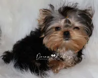 processed/1975a388-cdbc-4b56-9f46-9d9eeec5d2b1/listing/79ee08d8-abd1-4f3a-a671-8abb70ce8d77/1ccc58d7-929c-444a-91dd-d08ada736d37