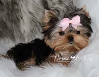 processed/1975a388-cdbc-4b56-9f46-9d9eeec5d2b1/listing/79ee08d8-abd1-4f3a-a671-8abb70ce8d77/6f5df082-95d7-4f51-8905-fff3ae62dad7