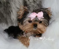 processed/1975a388-cdbc-4b56-9f46-9d9eeec5d2b1/listing/79ee08d8-abd1-4f3a-a671-8abb70ce8d77/715cc90a-a71a-4909-9ad5-0ee2657c6b4d