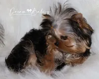 processed/1975a388-cdbc-4b56-9f46-9d9eeec5d2b1/listing/79ee08d8-abd1-4f3a-a671-8abb70ce8d77/8a988f22-8cc7-496b-879d-d2c0bad47a6b