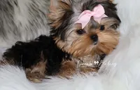 processed/1975a388-cdbc-4b56-9f46-9d9eeec5d2b1/listing/79ee08d8-abd1-4f3a-a671-8abb70ce8d77/fb40ada9-4555-4e06-8eab-fbd32aa3711f