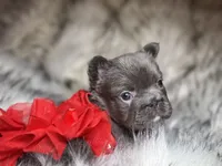 processed/19880e18-777d-4247-ba08-94094167b102/listing/abe9c929-2c11-44c7-8155-919532913869/2b178413-c87e-4fa5-aacb-447515f8590d