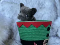 processed/19880e18-777d-4247-ba08-94094167b102/listing/abe9c929-2c11-44c7-8155-919532913869/41f4abd1-d3f6-4a10-ba74-d2c33cdaabff