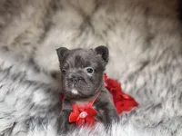 processed/19880e18-777d-4247-ba08-94094167b102/listing/abe9c929-2c11-44c7-8155-919532913869/7151a86f-974a-454a-86fa-4308a37945c9