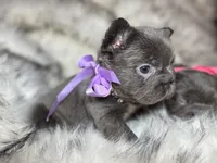 processed/19880e18-777d-4247-ba08-94094167b102/listing/abe9c929-2c11-44c7-8155-919532913869/8c51d451-b62d-47ea-9601-fb95962ff90c