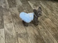 processed/19880e18-777d-4247-ba08-94094167b102/listing/abe9c929-2c11-44c7-8155-919532913869/a76dd474-5864-4e4e-b142-a2635bbc60de