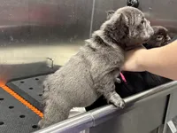 processed/19880e18-777d-4247-ba08-94094167b102/listing/abe9c929-2c11-44c7-8155-919532913869/db897210-0aea-4780-aefc-9f4904ac1540