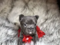 processed/19880e18-777d-4247-ba08-94094167b102/listing/abe9c929-2c11-44c7-8155-919532913869/e6efe172-db83-4cc8-96be-bc8fab167030