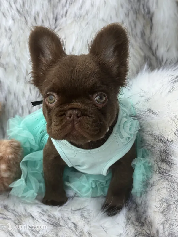 Baby Burberry London