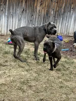 processed/198cc515-eb4a-4340-9e03-6c3afaad1b39/facility/0e2b99a0-0332-4284-937b-95d5d2e6cc91