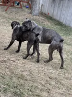 processed/198cc515-eb4a-4340-9e03-6c3afaad1b39/facility/17286cba-c52f-4814-96d9-09dead22b902