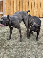 processed/198cc515-eb4a-4340-9e03-6c3afaad1b39/facility/18e8a029-aa1e-4a55-af4d-34815ef0b7e6