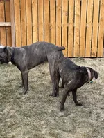 processed/198cc515-eb4a-4340-9e03-6c3afaad1b39/facility/2a9a8820-403d-462b-b0be-80d5a4a7669e