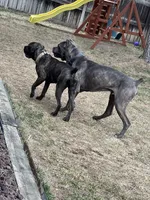 processed/198cc515-eb4a-4340-9e03-6c3afaad1b39/facility/5c3c036f-22e4-4ac8-960c-95ae1d0dc33f