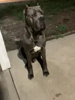 processed/198cc515-eb4a-4340-9e03-6c3afaad1b39/facility/5ff977c6-03cb-40d7-8249-a738f0bfb328