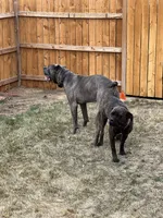 processed/198cc515-eb4a-4340-9e03-6c3afaad1b39/facility/8d88087e-7e0d-46bd-ab80-25f8b7a544a7