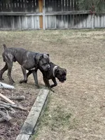 processed/198cc515-eb4a-4340-9e03-6c3afaad1b39/facility/ebffb852-e73f-4a7b-b089-b6ed3d10dbd7