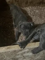 processed/198cc515-eb4a-4340-9e03-6c3afaad1b39/listing/9e1b69bc-e4f5-49d1-9dff-433ebc8e2582/9bd04961-ff9f-4cc2-a558-d2acfe1cb595