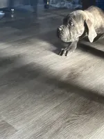 processed/198cc515-eb4a-4340-9e03-6c3afaad1b39/listing/9e1b69bc-e4f5-49d1-9dff-433ebc8e2582/a36ac379-f60c-400d-bba1-1e83a66ddd93