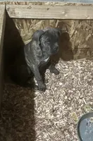 processed/198cc515-eb4a-4340-9e03-6c3afaad1b39/listing/9e1b69bc-e4f5-49d1-9dff-433ebc8e2582/b0d0a0ab-8066-4c44-9f3f-810364ac34db