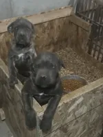 processed/198cc515-eb4a-4340-9e03-6c3afaad1b39/listing/9e1b69bc-e4f5-49d1-9dff-433ebc8e2582/bcbc5b50-855b-4dae-ae0c-2e292823b247