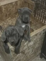 processed/198cc515-eb4a-4340-9e03-6c3afaad1b39/listing/9e1b69bc-e4f5-49d1-9dff-433ebc8e2582/be4b3550-4553-493b-b38a-3df2e20ca6ce