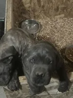 processed/198cc515-eb4a-4340-9e03-6c3afaad1b39/listing/9e1b69bc-e4f5-49d1-9dff-433ebc8e2582/d455e547-9716-4760-b106-738aca46e107