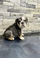 processed/1996b3bf-8a43-4f0a-99d0-2b53be58350a/listing/3da4f5b0-277e-4f27-b35a-a2f86d2c318f/5340530c-44e1-4848-b4d7-5754ba78bb70