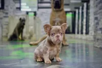 processed/1996b3bf-8a43-4f0a-99d0-2b53be58350a/listing/b72e4fcd-bf12-42fb-a1d7-9b0c2d1bc7e6/3cc40432-f084-41e0-a793-119b27bb7820