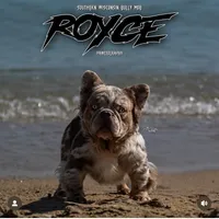 processed/1996b3bf-8a43-4f0a-99d0-2b53be58350a/listing/b72e4fcd-bf12-42fb-a1d7-9b0c2d1bc7e6/546c28de-3f88-44c7-a05c-46095d75b540