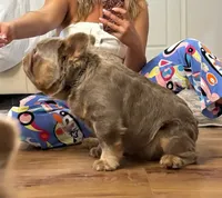 processed/1996b3bf-8a43-4f0a-99d0-2b53be58350a/listing/b72e4fcd-bf12-42fb-a1d7-9b0c2d1bc7e6/563ab302-62f1-48e8-83eb-0cce30238bff