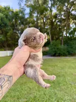 processed/1996b3bf-8a43-4f0a-99d0-2b53be58350a/listing/b72e4fcd-bf12-42fb-a1d7-9b0c2d1bc7e6/85b9af07-2164-48e1-a83c-6e519d3a0591